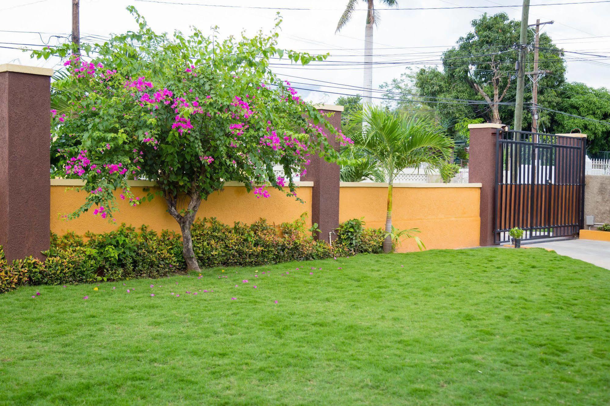 Centrally Located Guest Apartments Kingston Buitenkant foto
