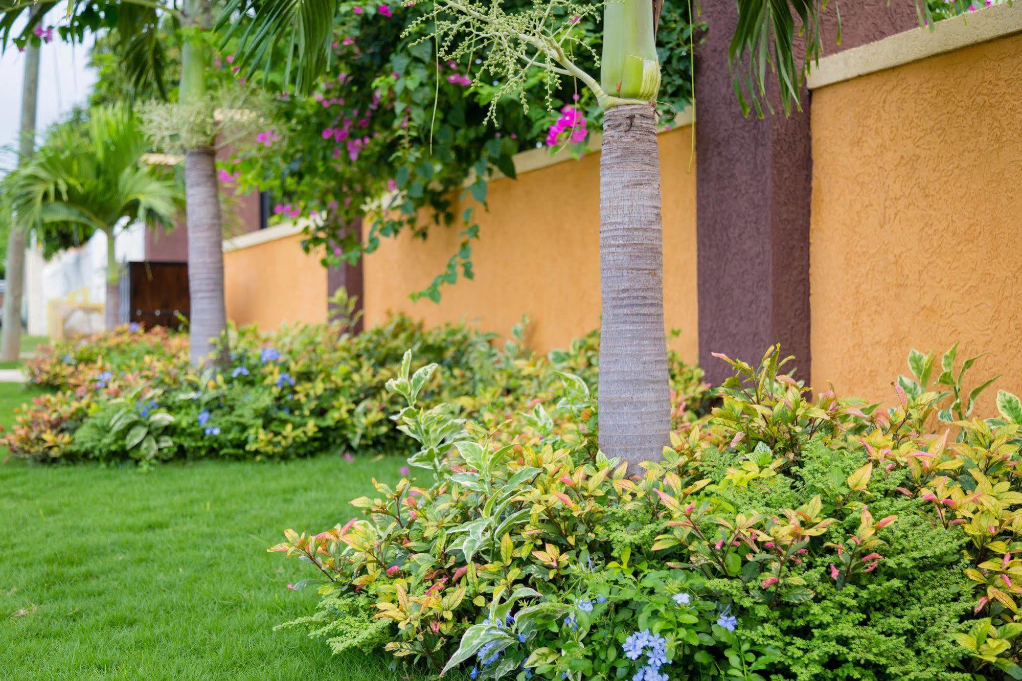Centrally Located Guest Apartments Kingston Buitenkant foto